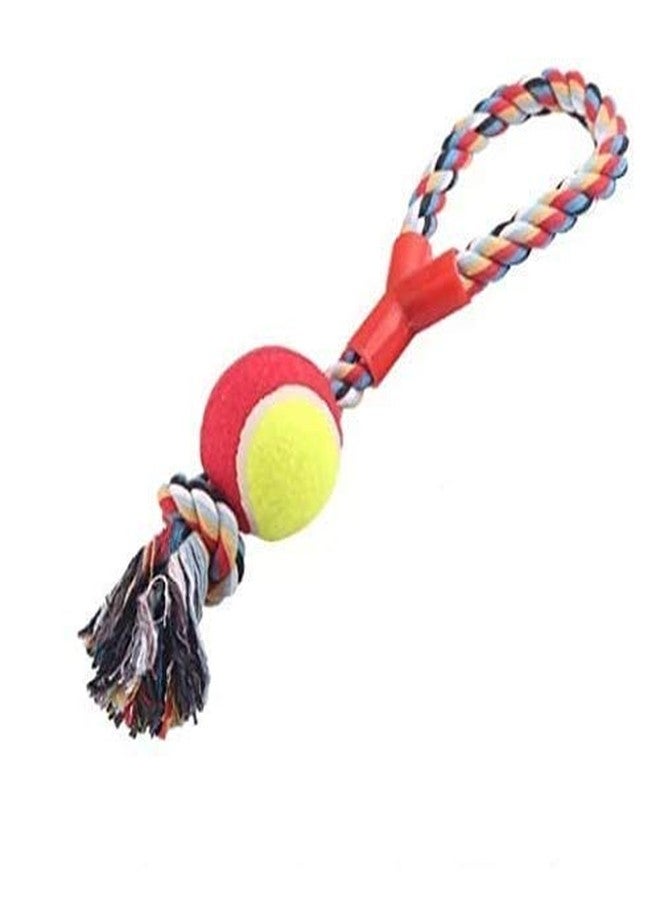 Pet Believe Rope Toy with Tennis Ball for Dog - Image 2
